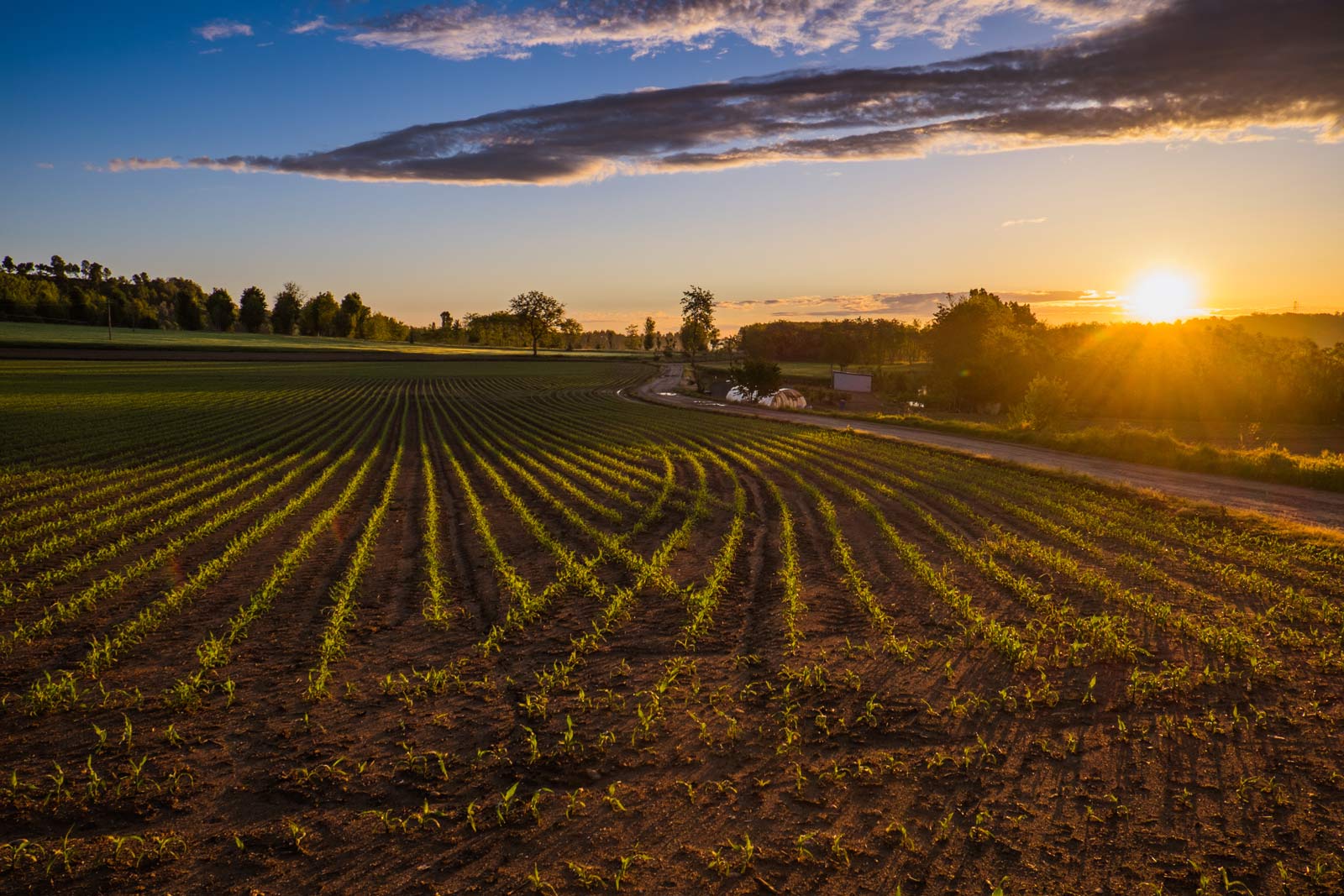 Farm & Ranch Insurance